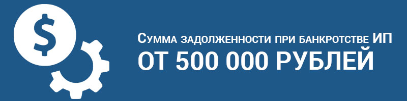 Банкротство ИП пошаговая инструкция для должника! Особенности процедуры с долгами по налогам